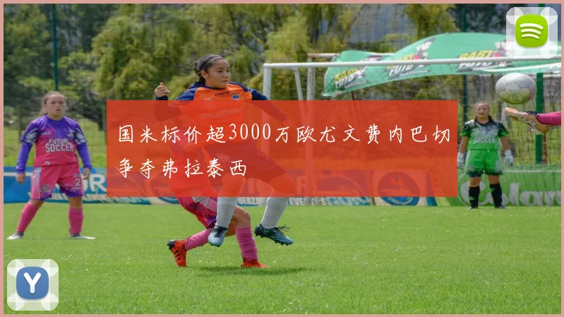 国米标价超3000万欧尤文费内巴切争夺弗拉泰西