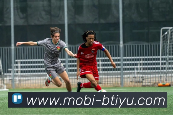 B体育平台生态图